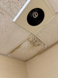 Exposed old heatlamp