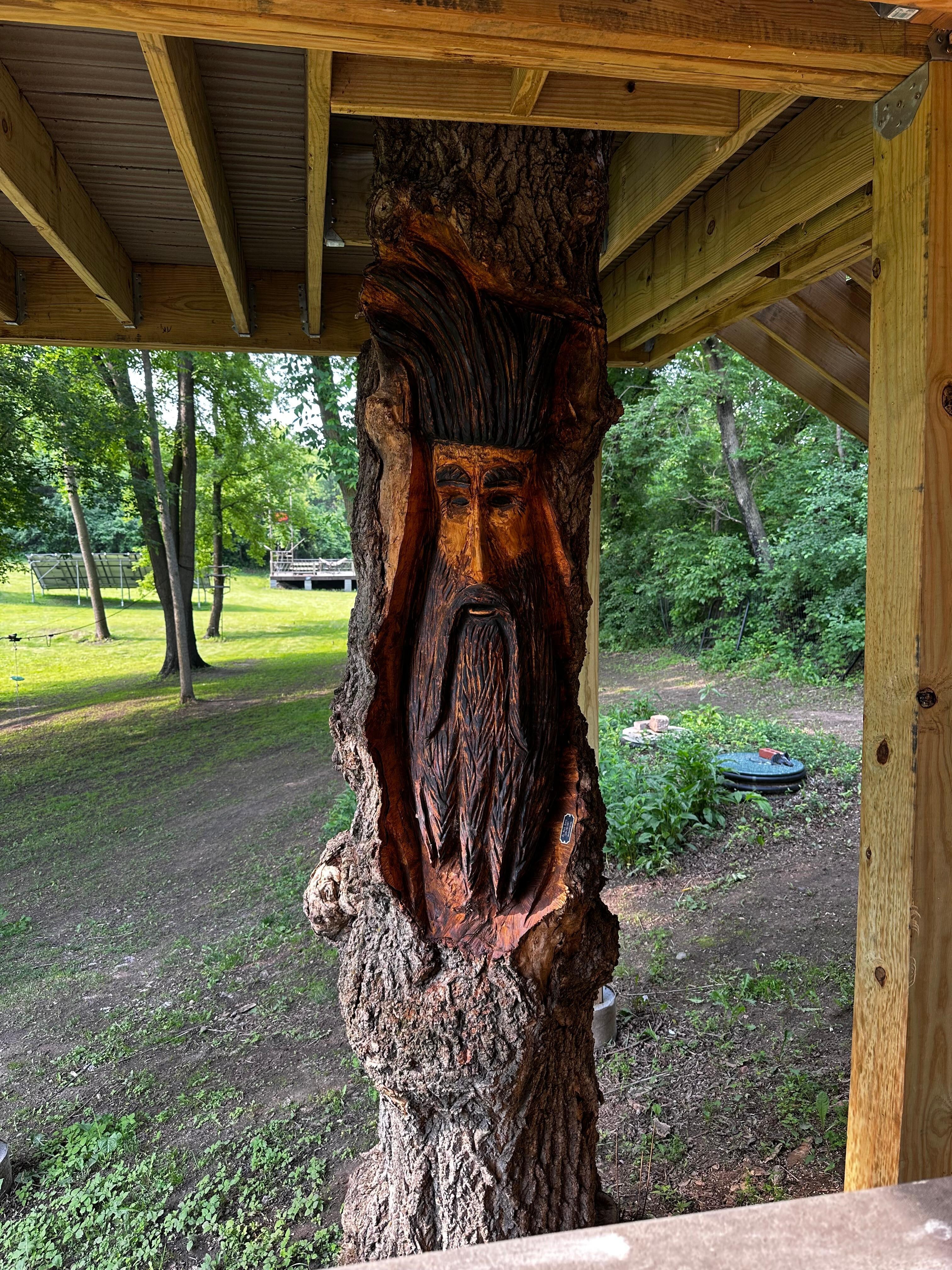 Neat carving in the tree