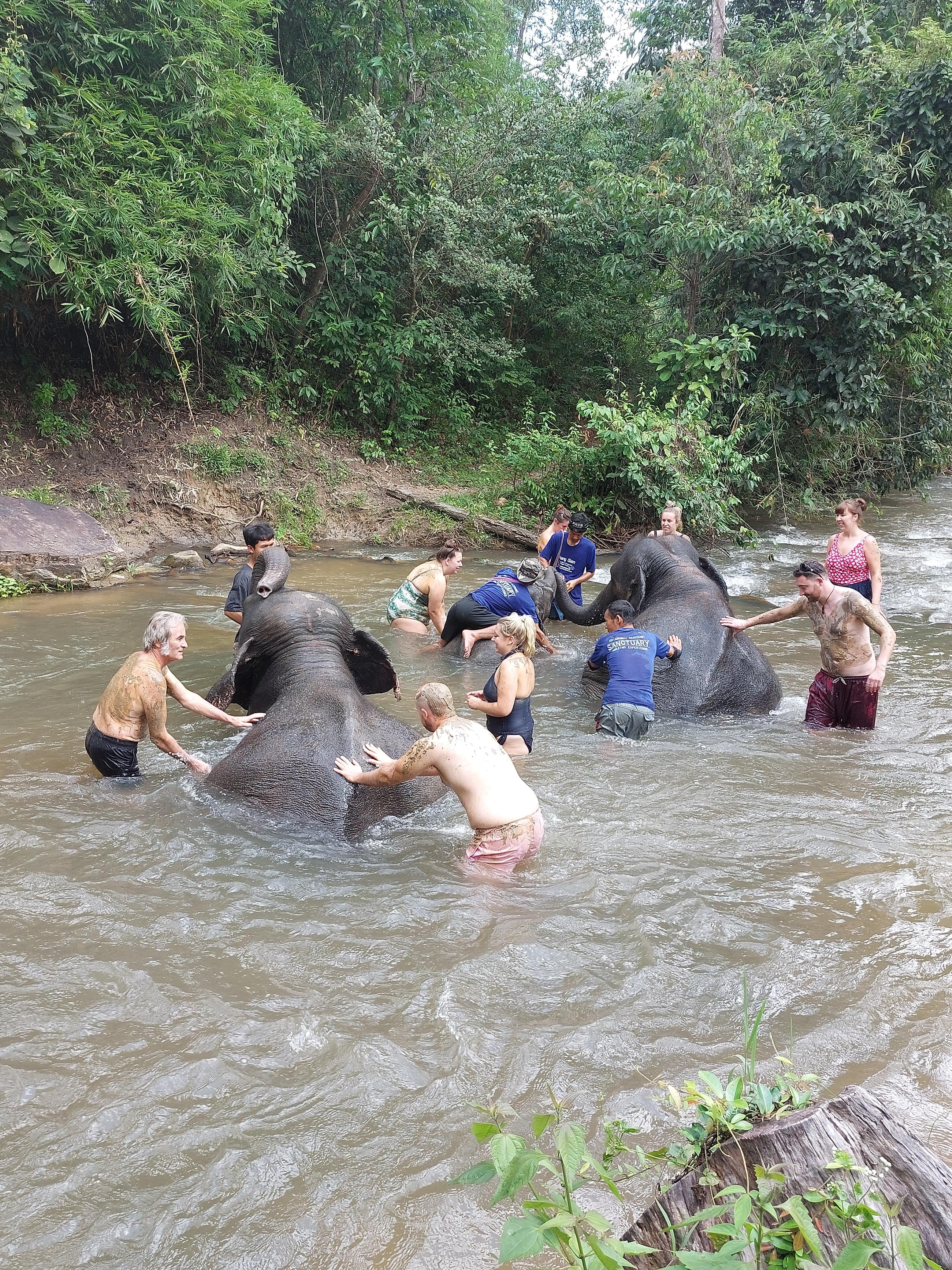 Pampering the elephants