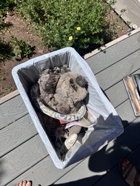 Contents of the vacuum