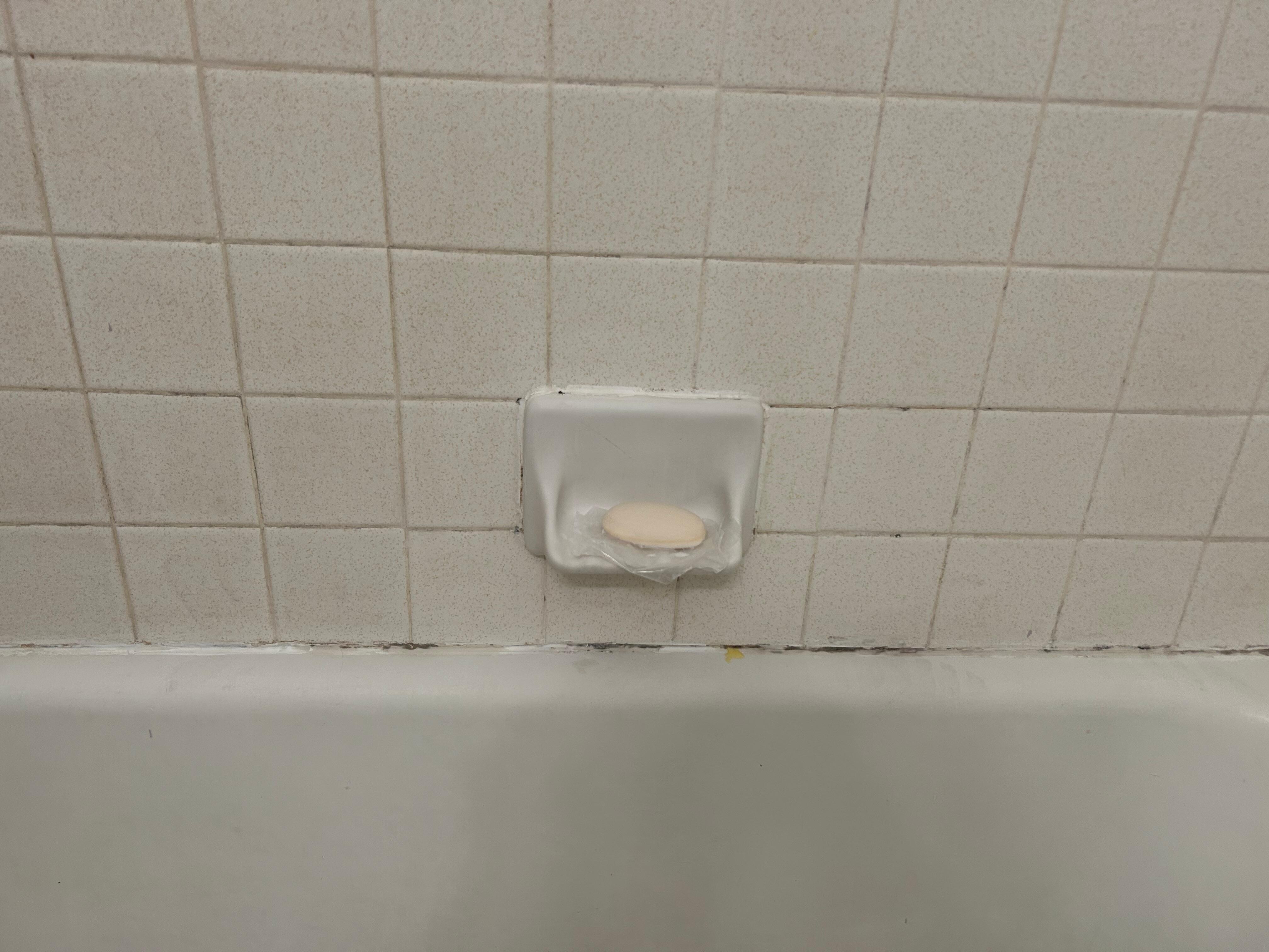This is a picture of how dirty the grout and tile are in the bathtub