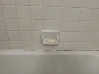 This is a picture of how dirty the grout and tile are in the bathtub