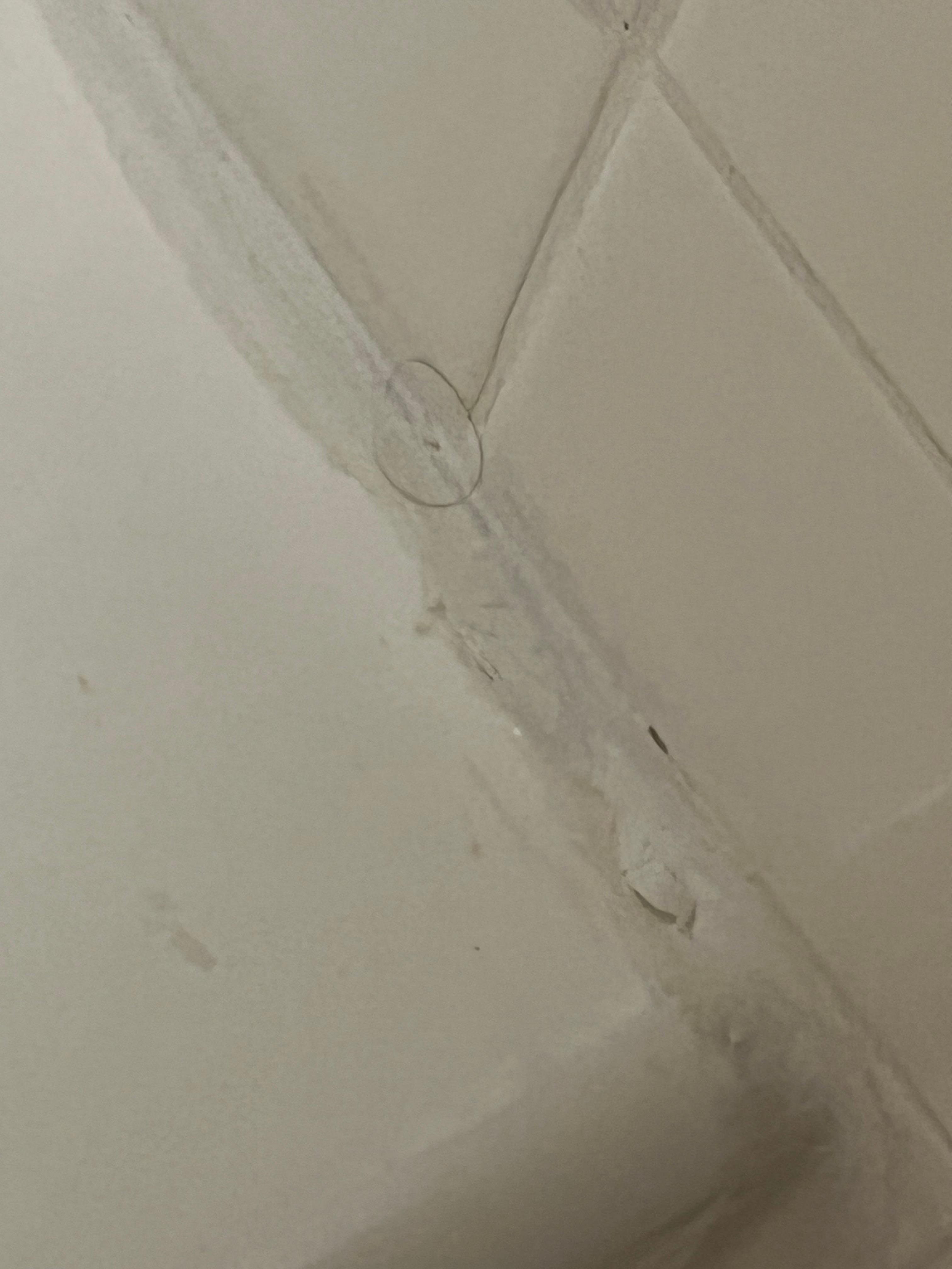 Hair on tub and on toilet 