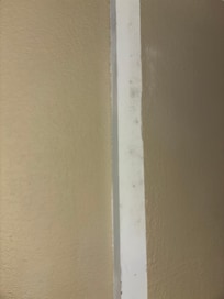 Black mold☠️🏴☠️