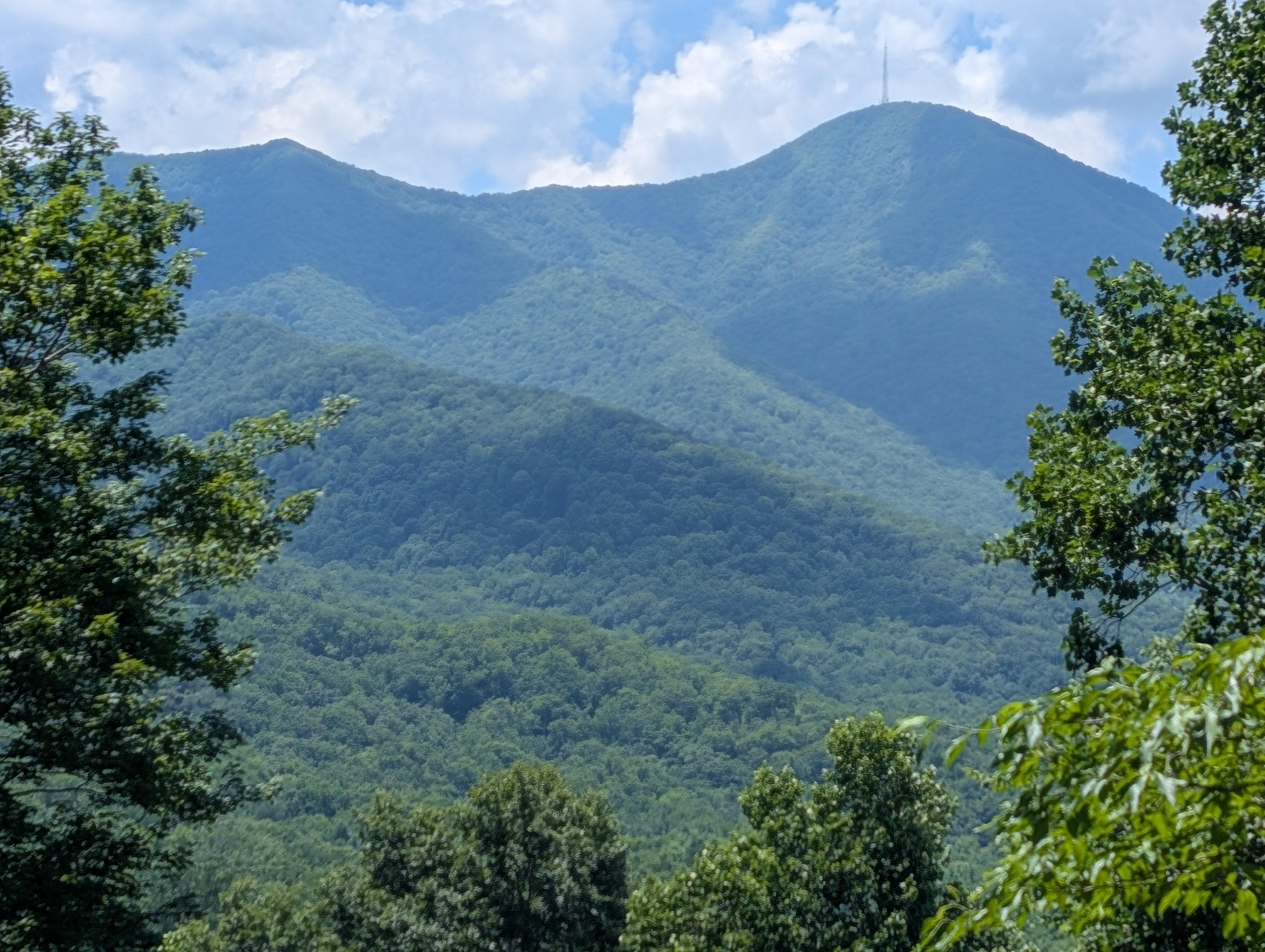 View from deck