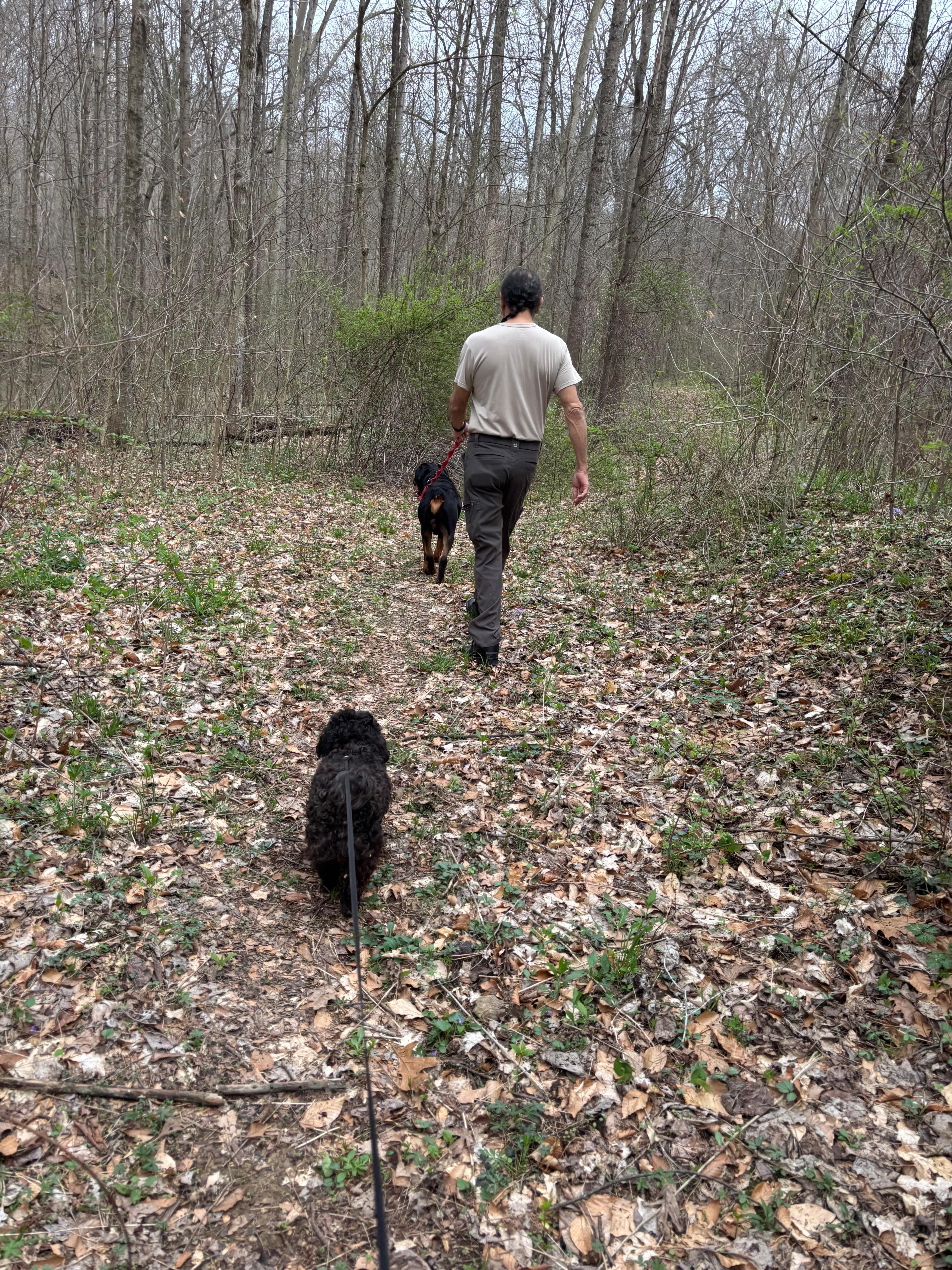 We enjoyed the Martin park. Beautiful area. 
