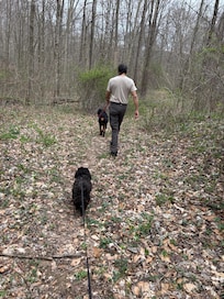We enjoyed the Martin park. Beautiful area.