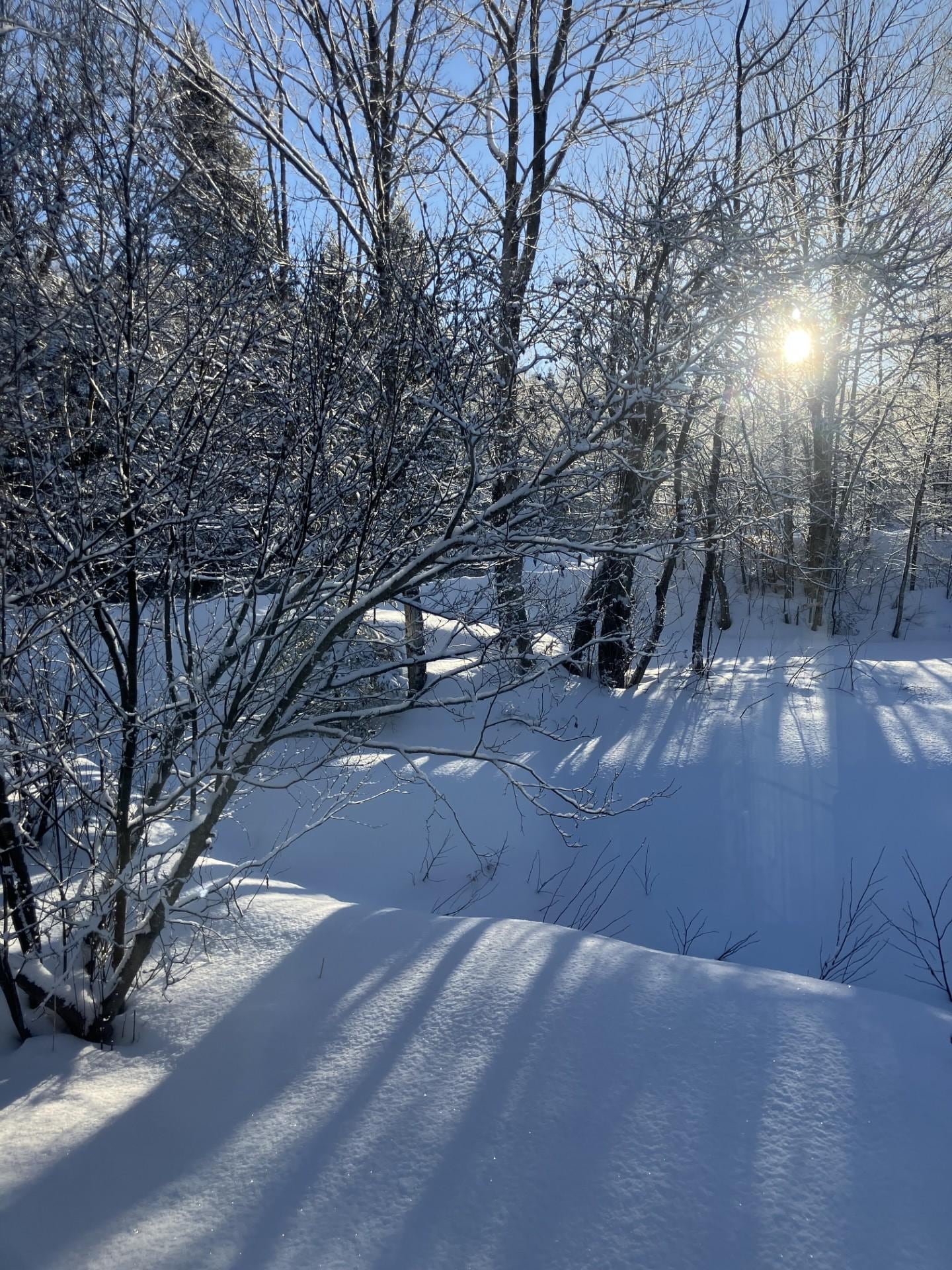 Morning view outside bedroom (the main bedroom gets the most wonderful morning light through its many windows)