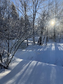 Morning view outside bedroom (the main bedroom gets the most wonderful morning light through its many windows)