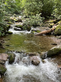 Creek on Hen Wallow Trail