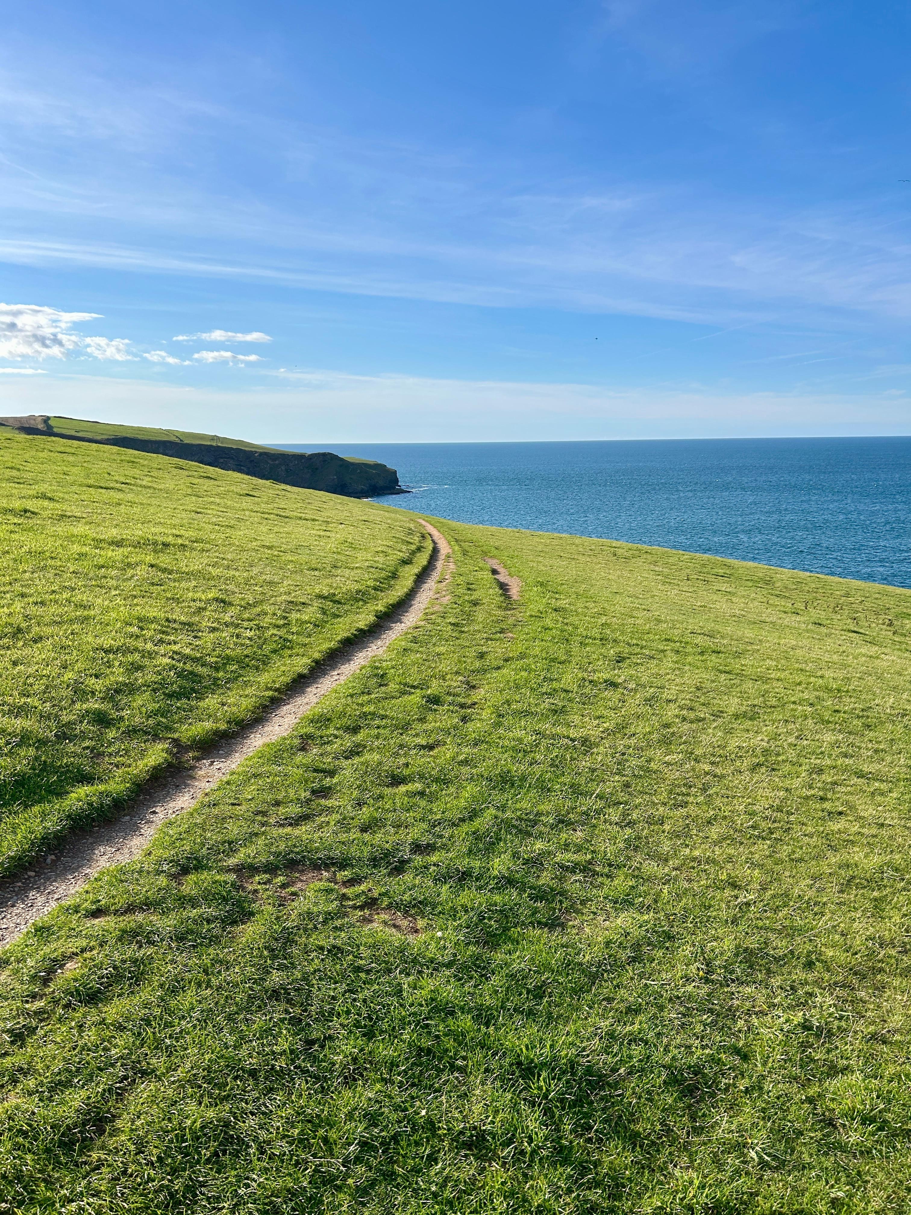 Coastal path near Port Isaac