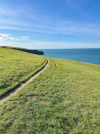 Coastal path near Port Isaac