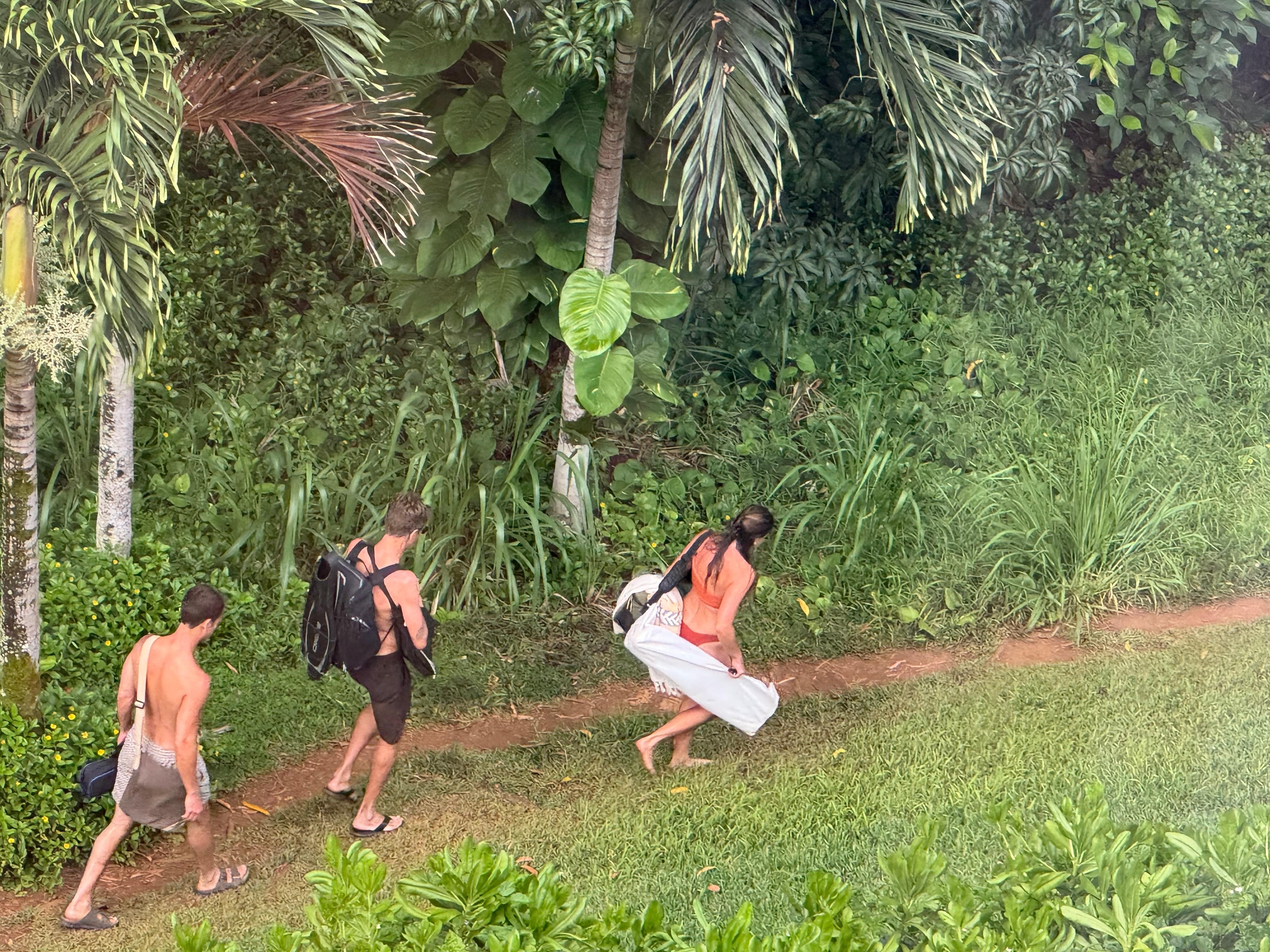 Path to beach next to Sealodge