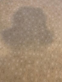 Dirty carpets