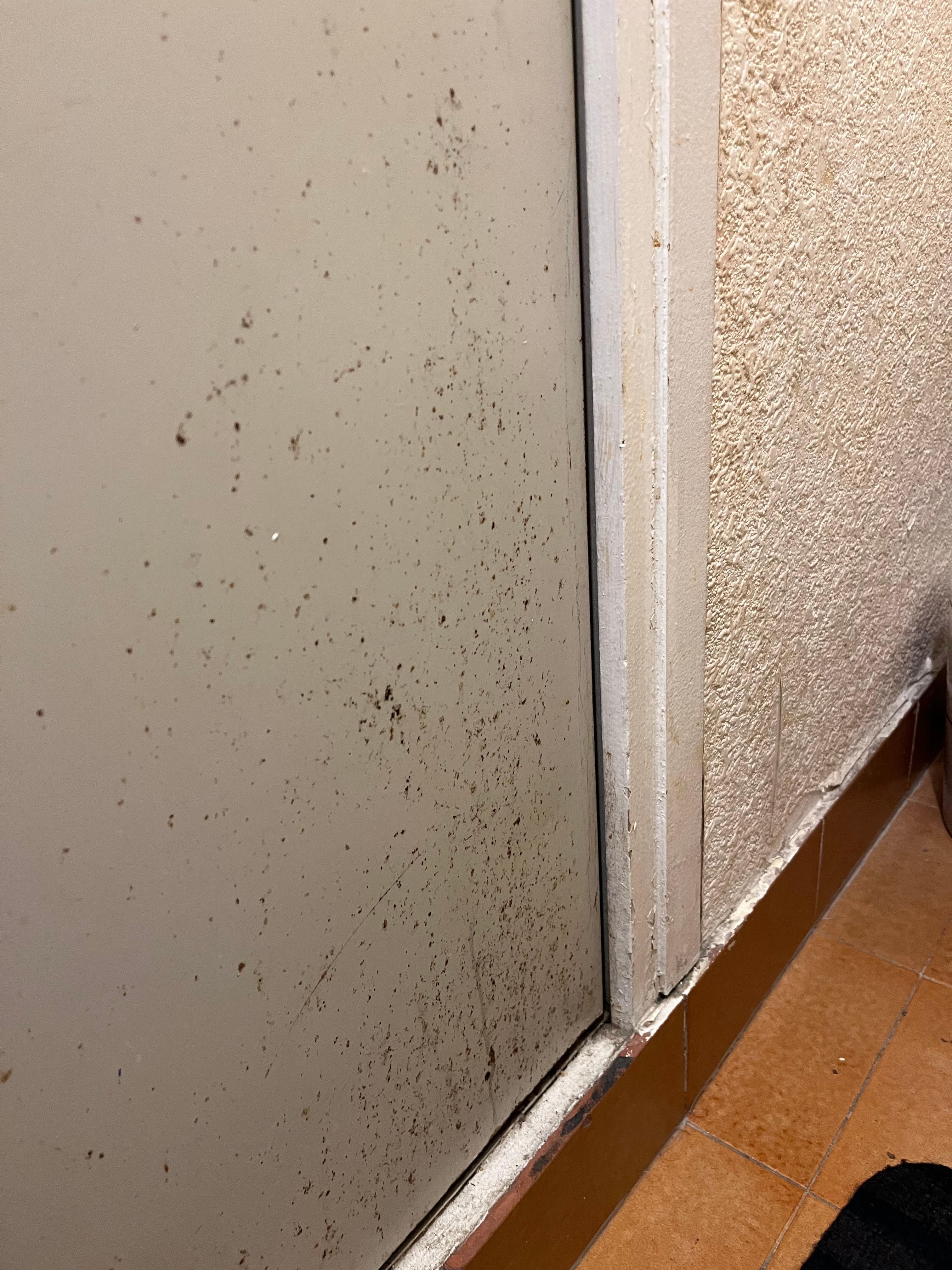 Armoire dans wc pleine d’éclaboussures suspectes