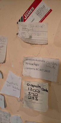 phone numbers