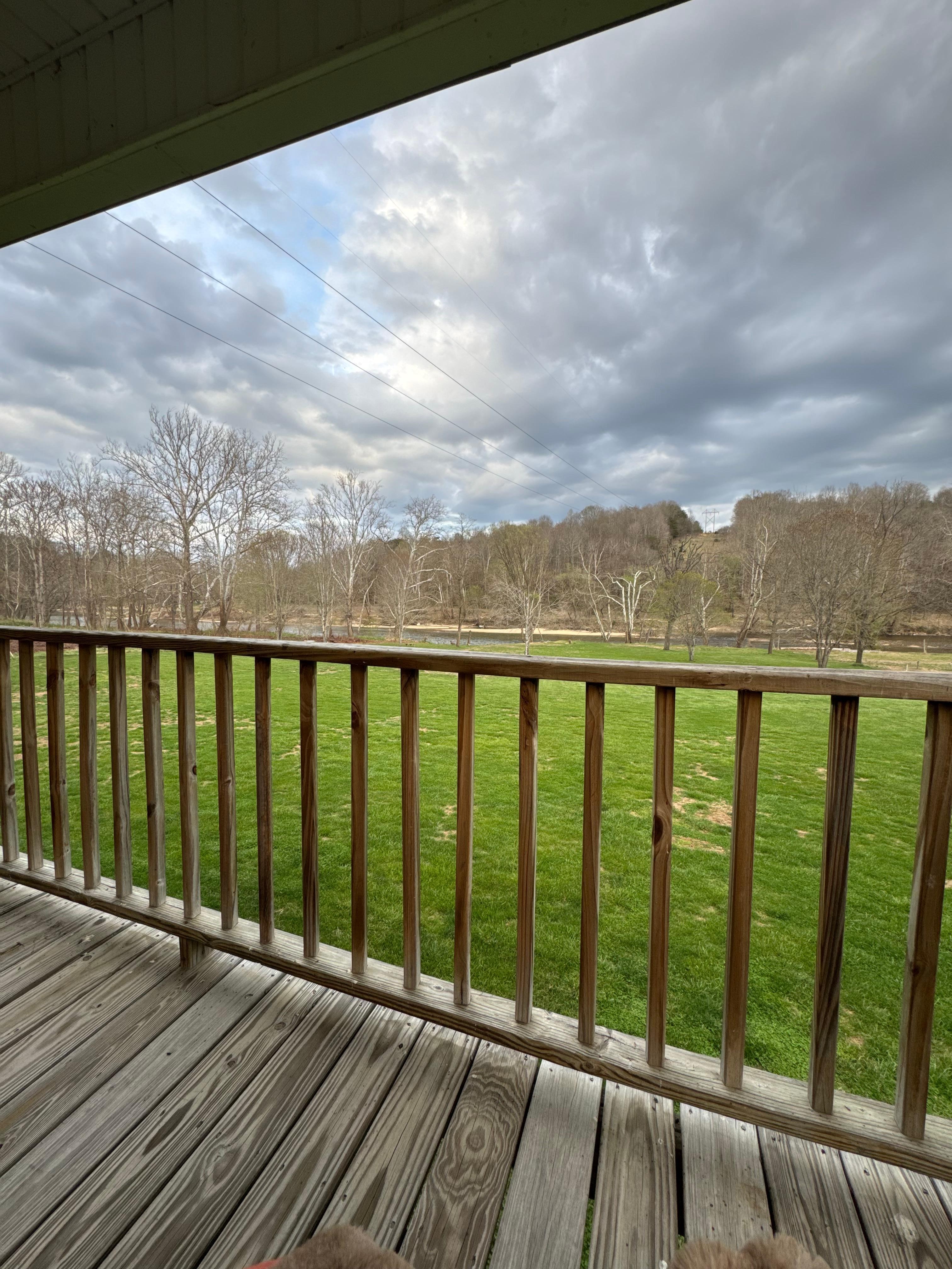 The view from the back porch