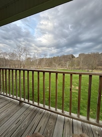 The view from the back porch