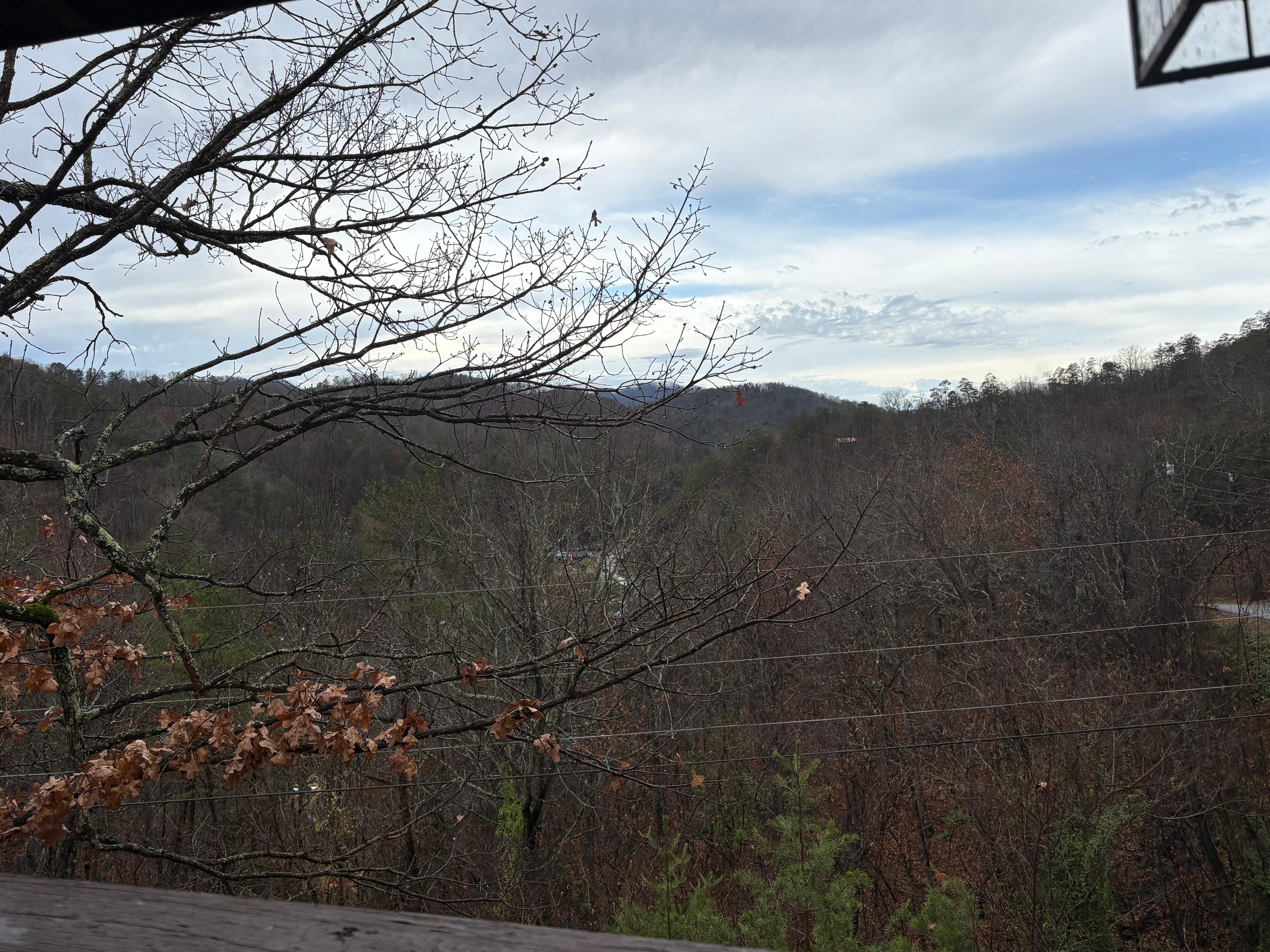 View from the porch.
