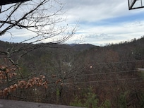 View from the porch.