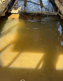 Dock in shallow mud