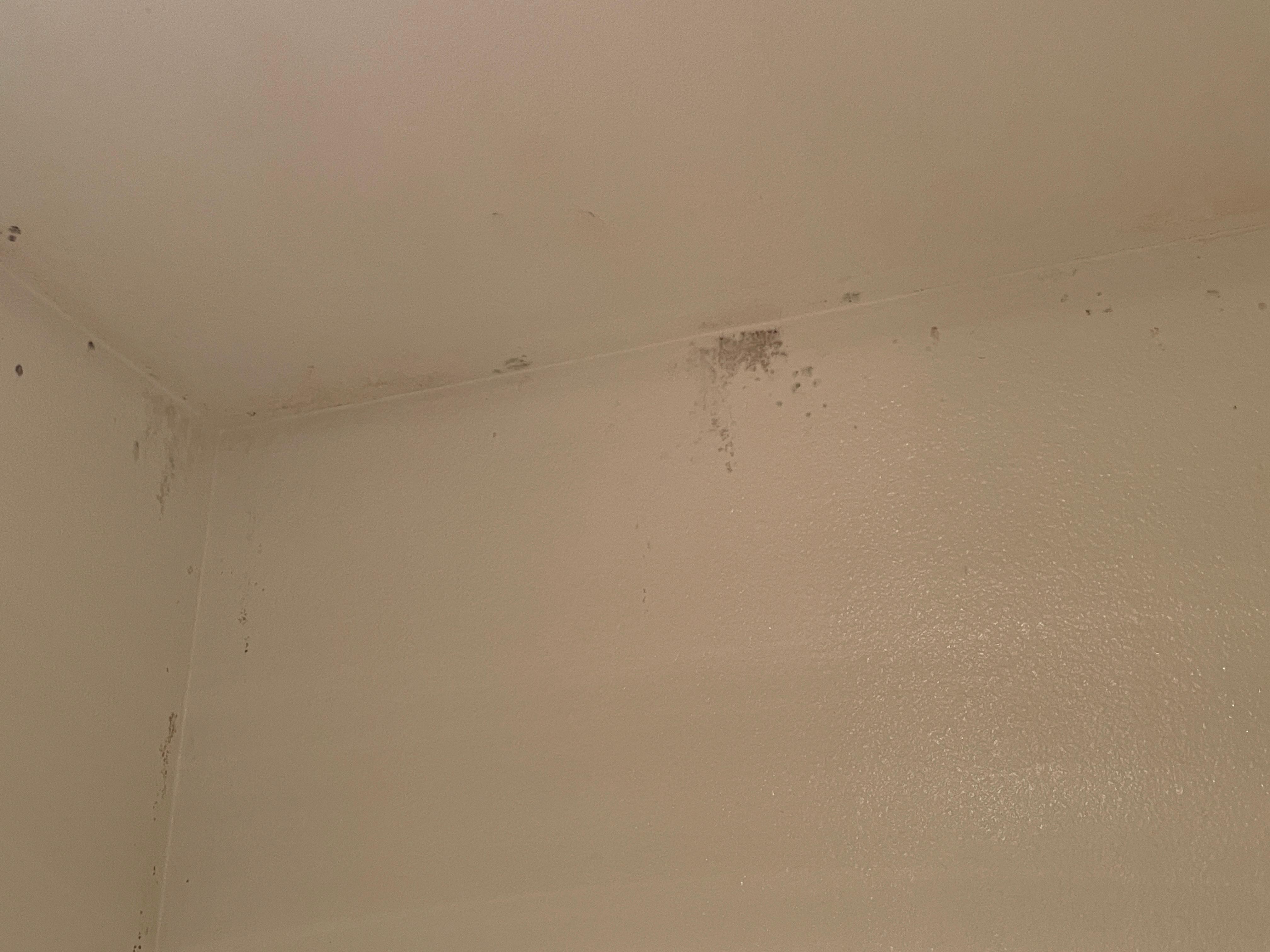 Dirty shower walls