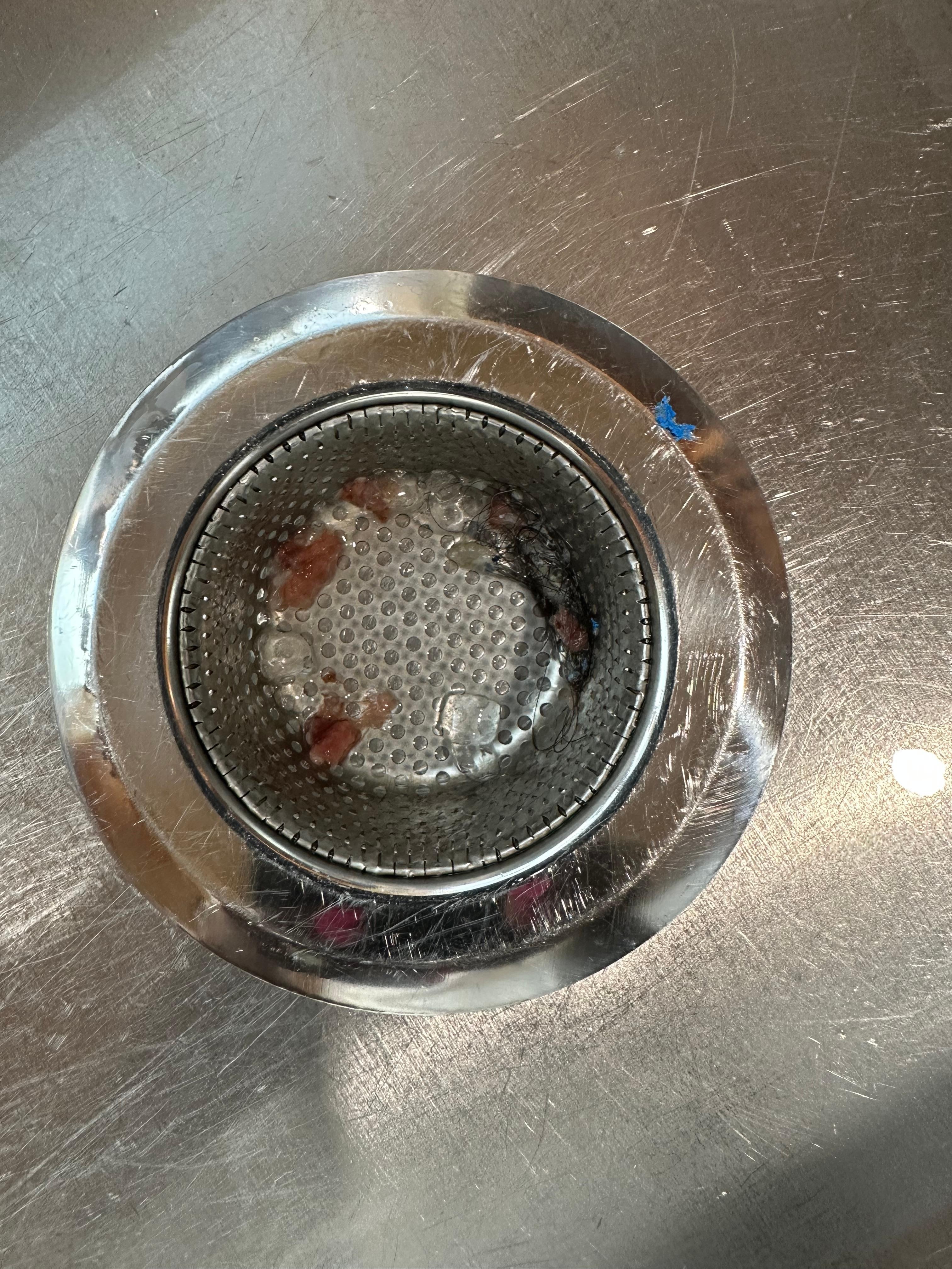 Hair in kitchen sink upon arrival - more pics but can’t upload all 