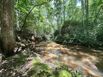 Beautiful creek.