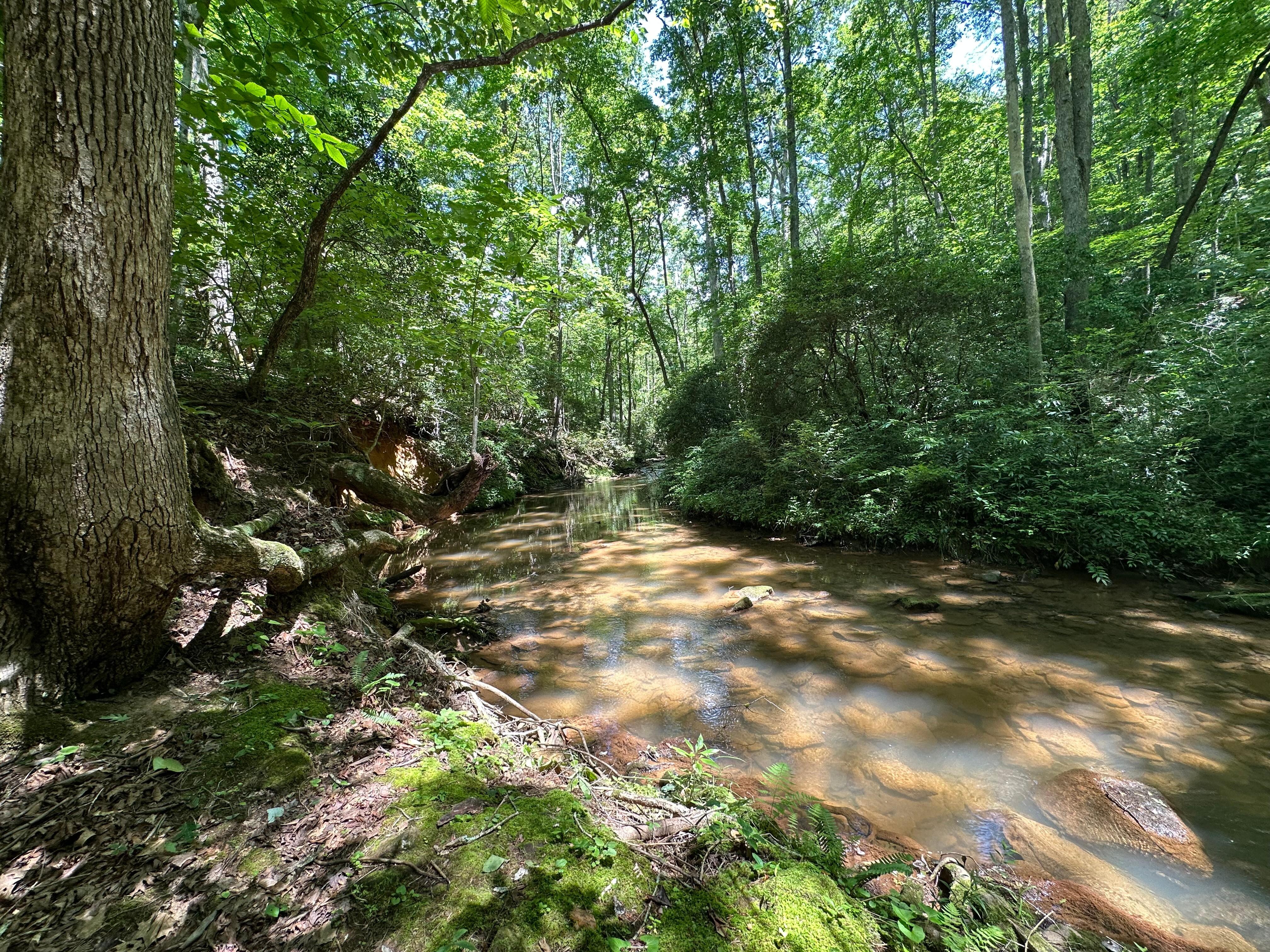 Beautiful creek.