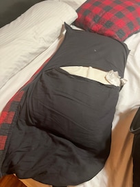 Pillow George Washington fished out of the Delaware.