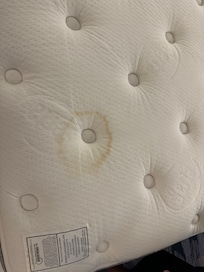 Urine stain