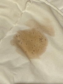 definitely a poop stain, it stinks