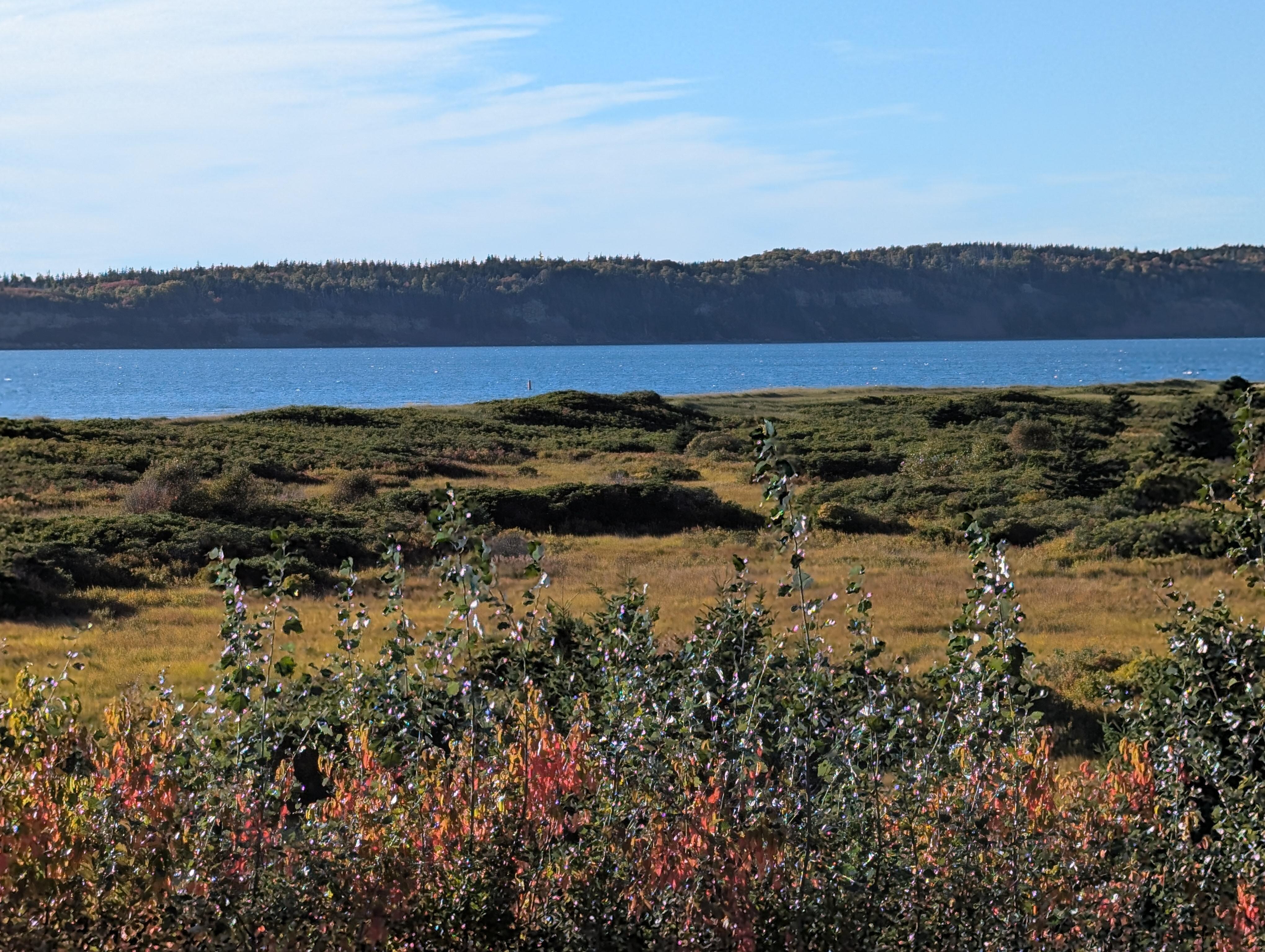 View from the cottage