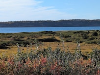 View from the cottage