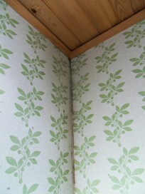 Decke über Duschbereich mit deutlichem Schimmel