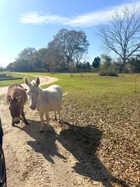 We made friends!