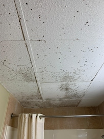 Moldy bathroom ceiling tiles