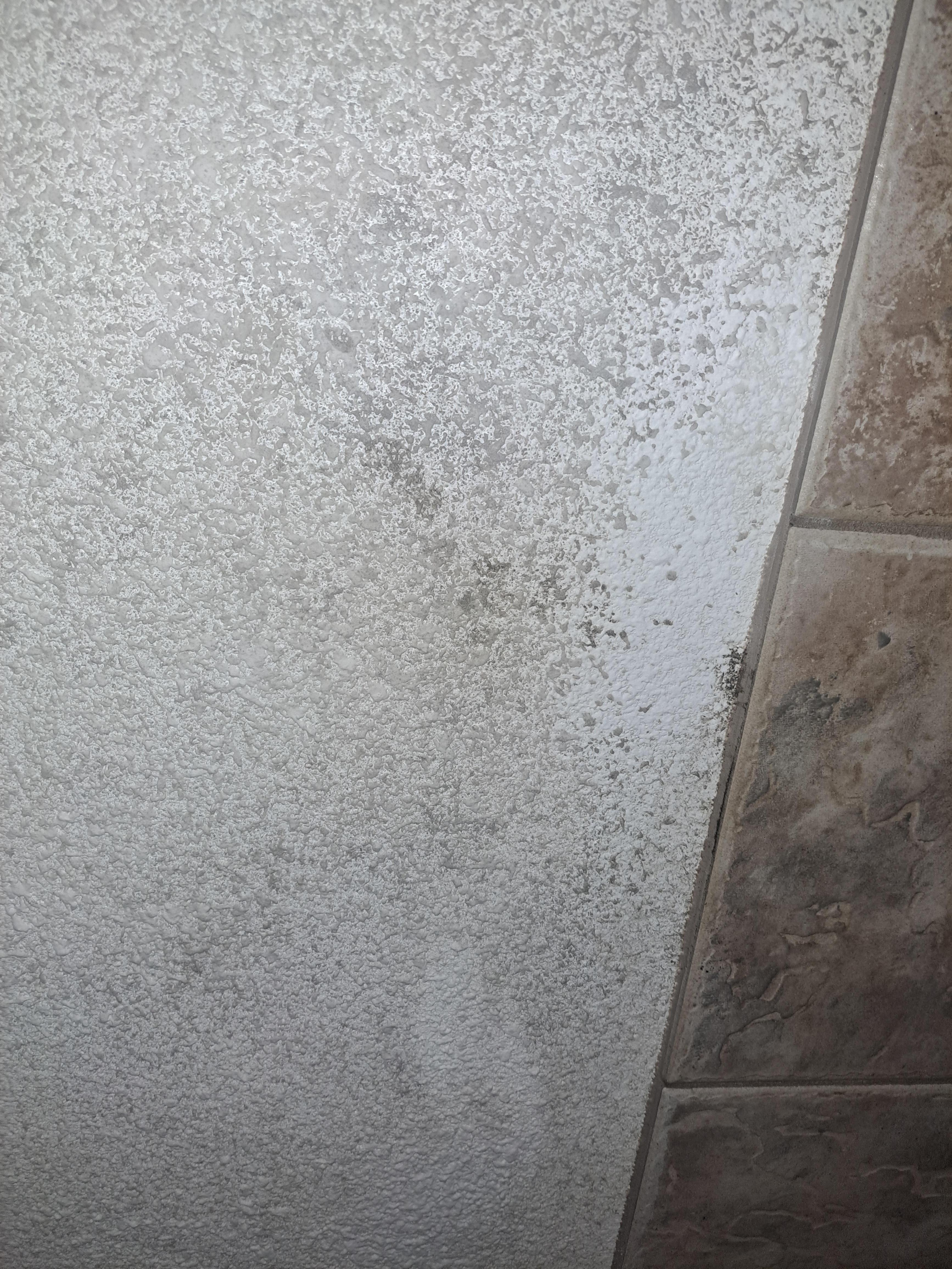 Master bath ceiling mold