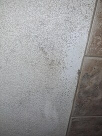 Master bath ceiling mold