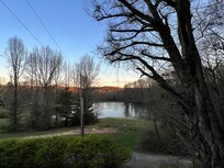 View to the lake