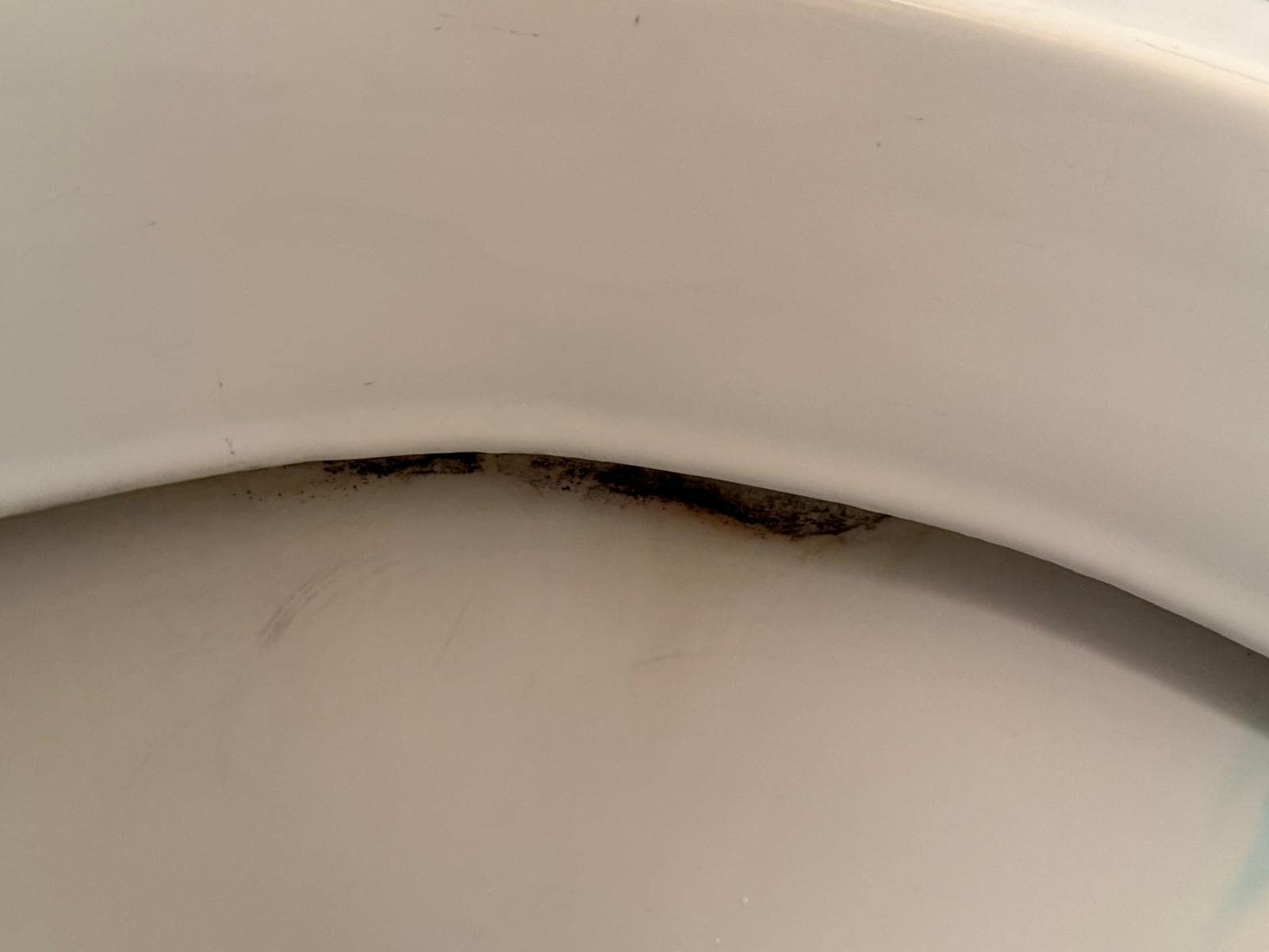 toilet rim when we arrived