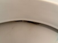 toilet rim when we arrived