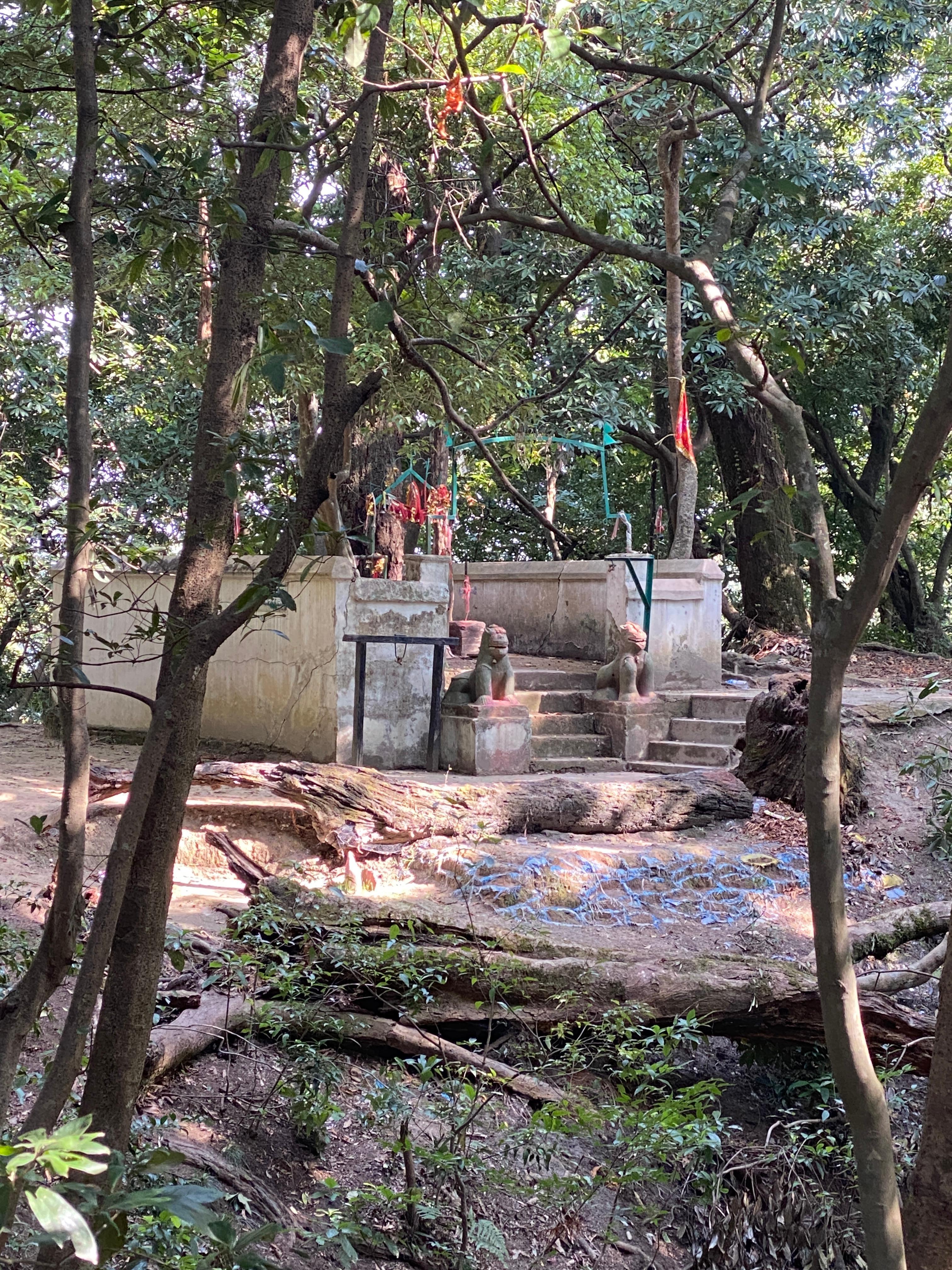 Temple in the forest 