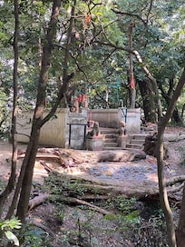 Temple in the forest