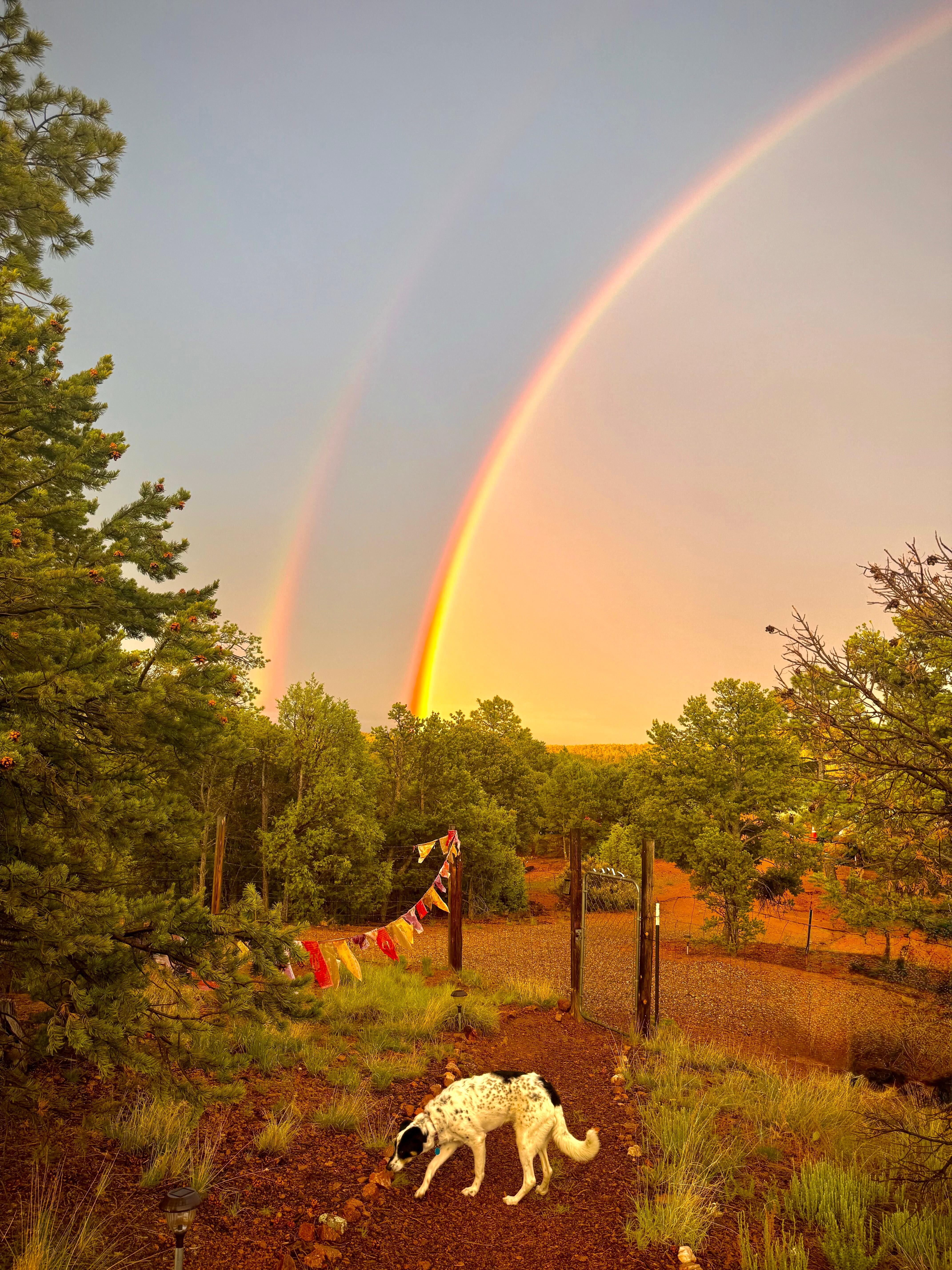 Double Rainbow Woohoo!!!