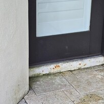 Rust and mold