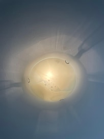 Dirty lambs with insects inside and a shit ton of mosquitoes in the room - couldn’t sleep the first night