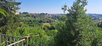 view from the bedroom