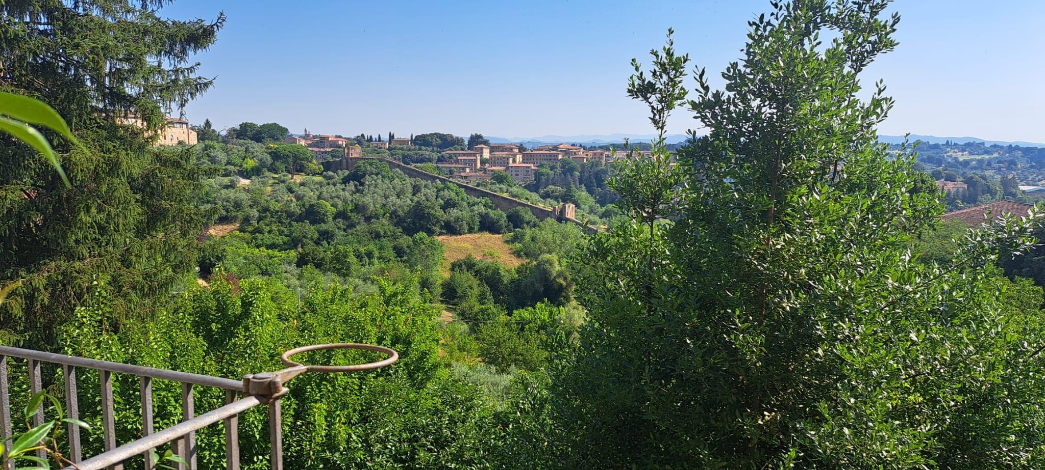 view from the bedroom 