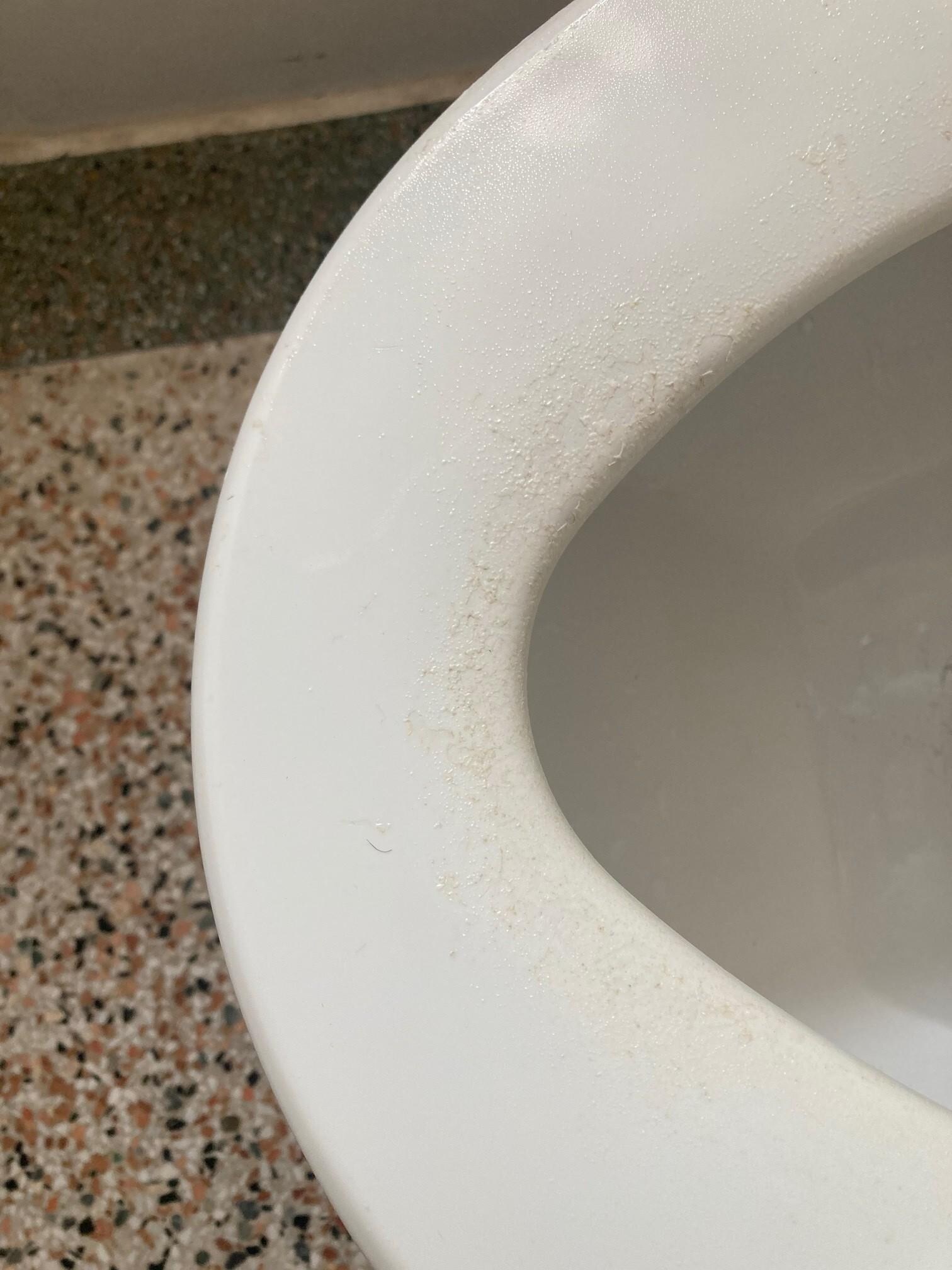 toilet seat